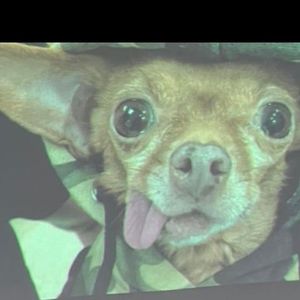 Meet your Posher, Fatima